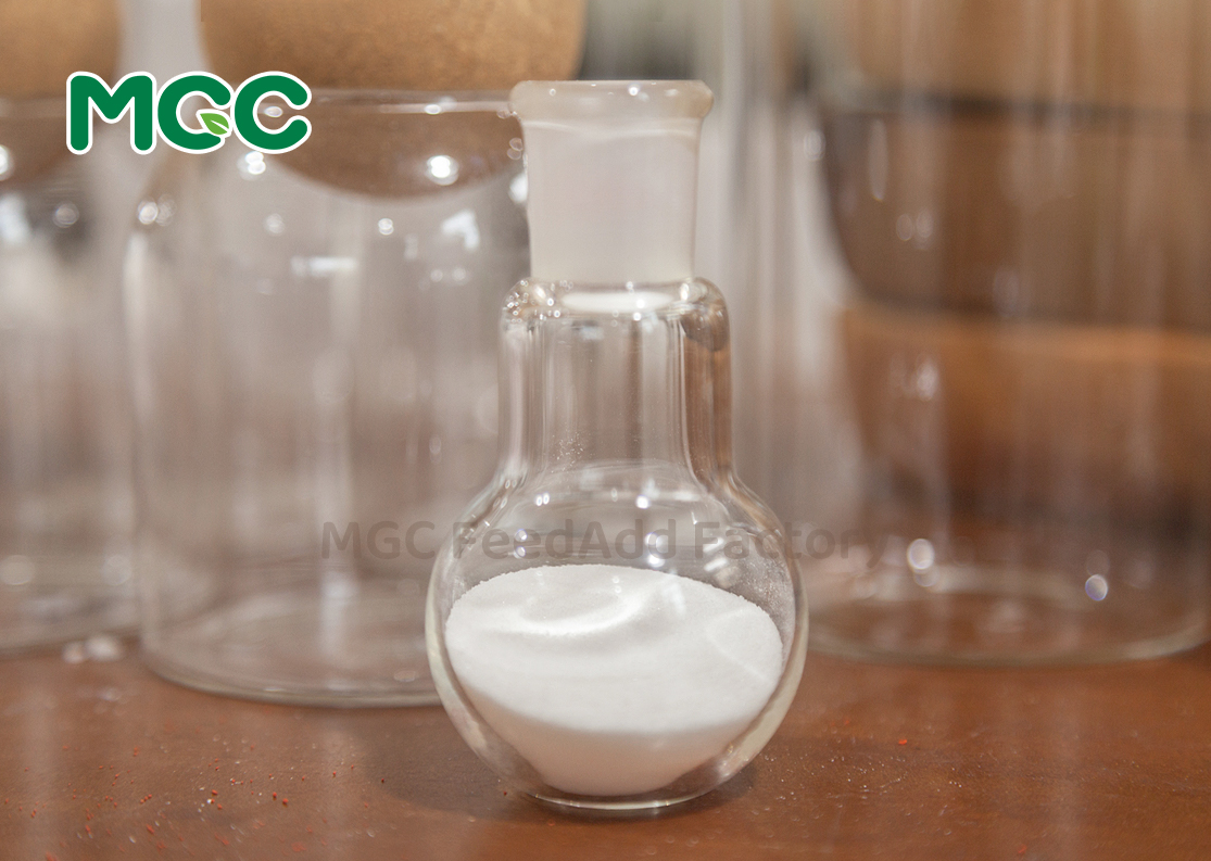Niacin (Vitamin B3)